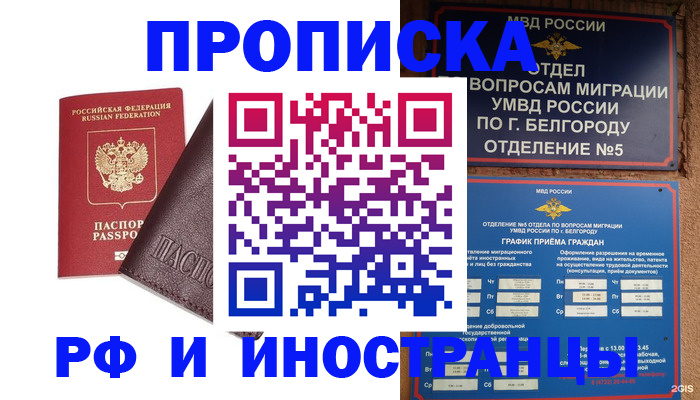 прописка для школы в Михайловске